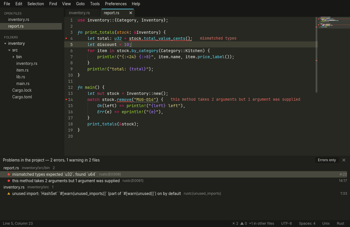 A Rust file with two compile errors underlined in red and their messages after the lines, and the Problems panel at the bottom listing two errors and a warning grouped by file.